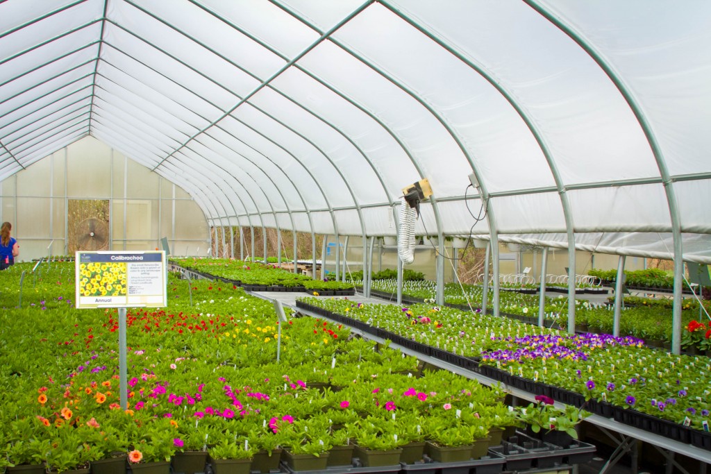 Uncategorized – Bennett's Greenhouses